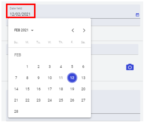 Date Data Type field.