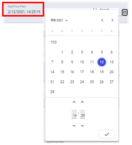DateTime Data Type field.